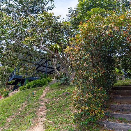 Hotel Mirador De Boquia 살렌토 외부 사진
